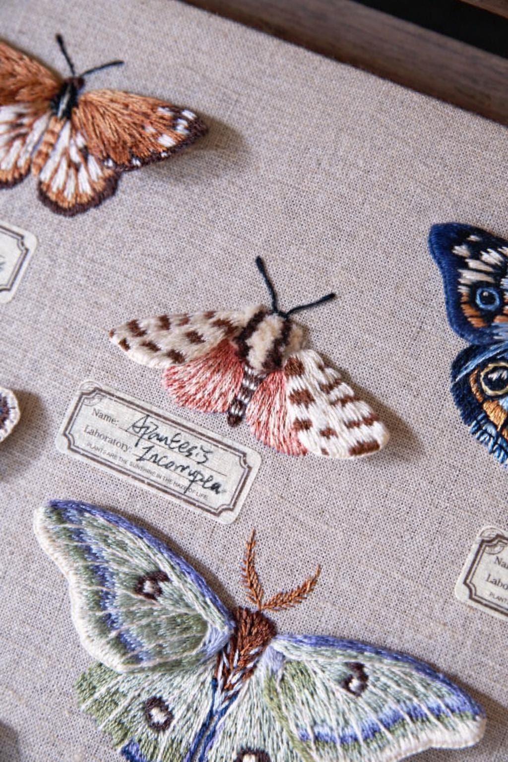 Butterfly Dream Embroidery Kit ( Intermediate level)