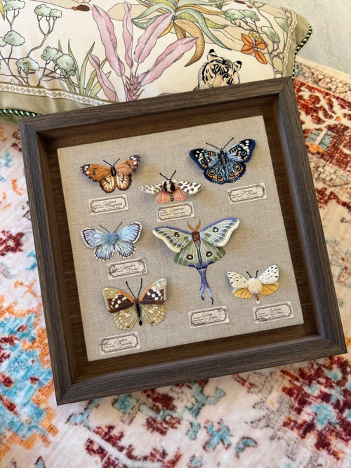 Butterfly Dream Embroidery Kit ( Intermediate level)